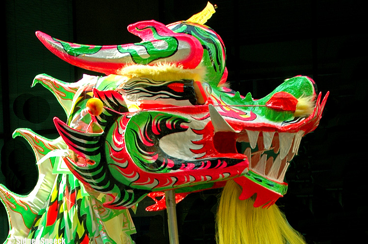 chinese new year dragon